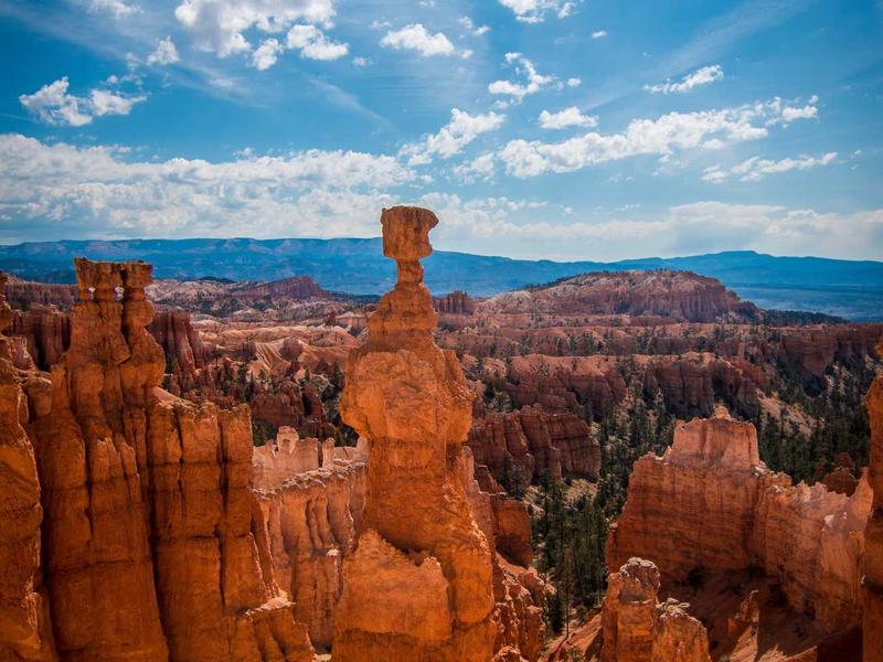 sudoku timer challenge screenshot 5